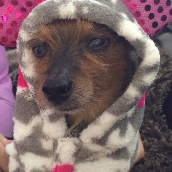 Meet your Posher, Lori - Picture 1 of 3